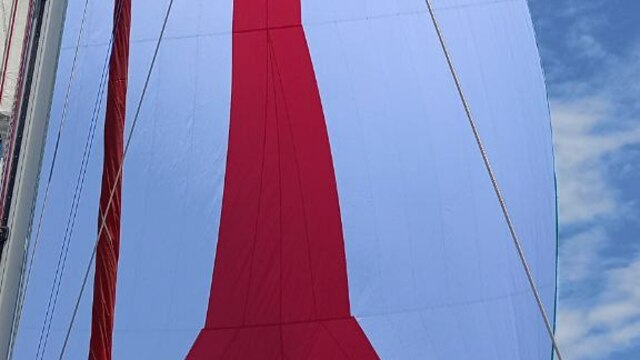Spi asymétrique neuf avec chaussette 