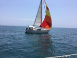 SUN LIBERTY 34 