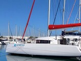 A Vendre - NEEL 43 Hybride Electrique