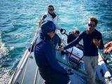Skipper - formations - Convoyages Tout type de projet