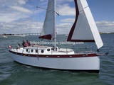 Biquille Neptune 9.4