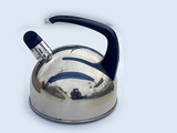 Bouilloire de mer inox