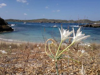 Faune et Flore marine !