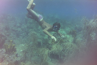 Faune et Flore marine !