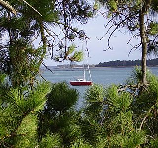 Paysages de bord de mer.