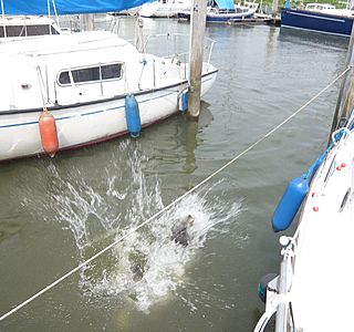 Mai, le sourire des premières navigations