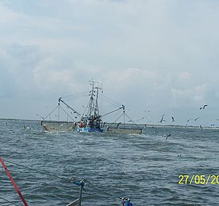 Bateaux de pêche rencontrés en mer