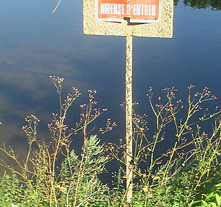 Vague à l'âme