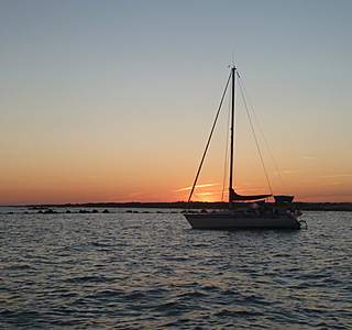 Belle de nuit