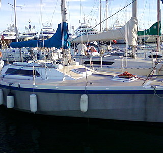 Le meilleur ami du marin...
