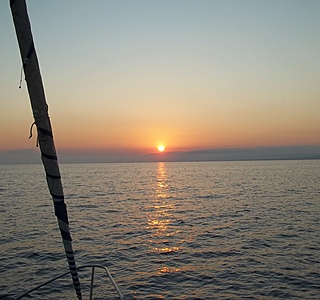 Le meilleur ami du marin...