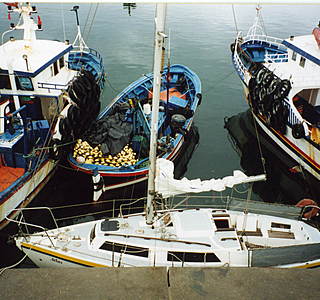 Bateaux de pêche