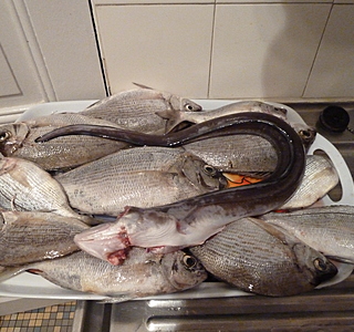 La cambuse