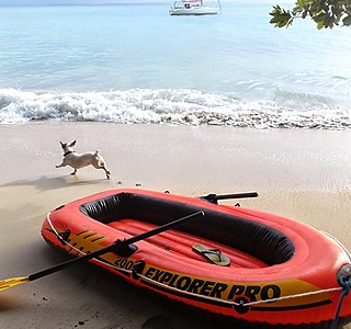 Bateau bois, acier, alu... tout ce qui change du polyester !