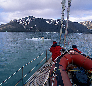 Banquises, icebergs et neiges d'ici ou d'ailleurs