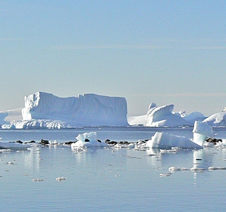 Banquises, icebergs et neiges d'ici ou d'ailleurs
