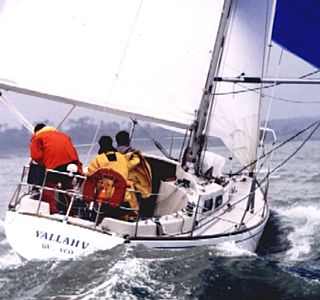 Sous spi dans la brise