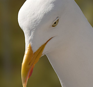 Souvenirs navigations 2018