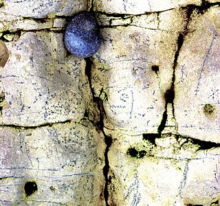 Textures
