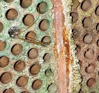 Textures
