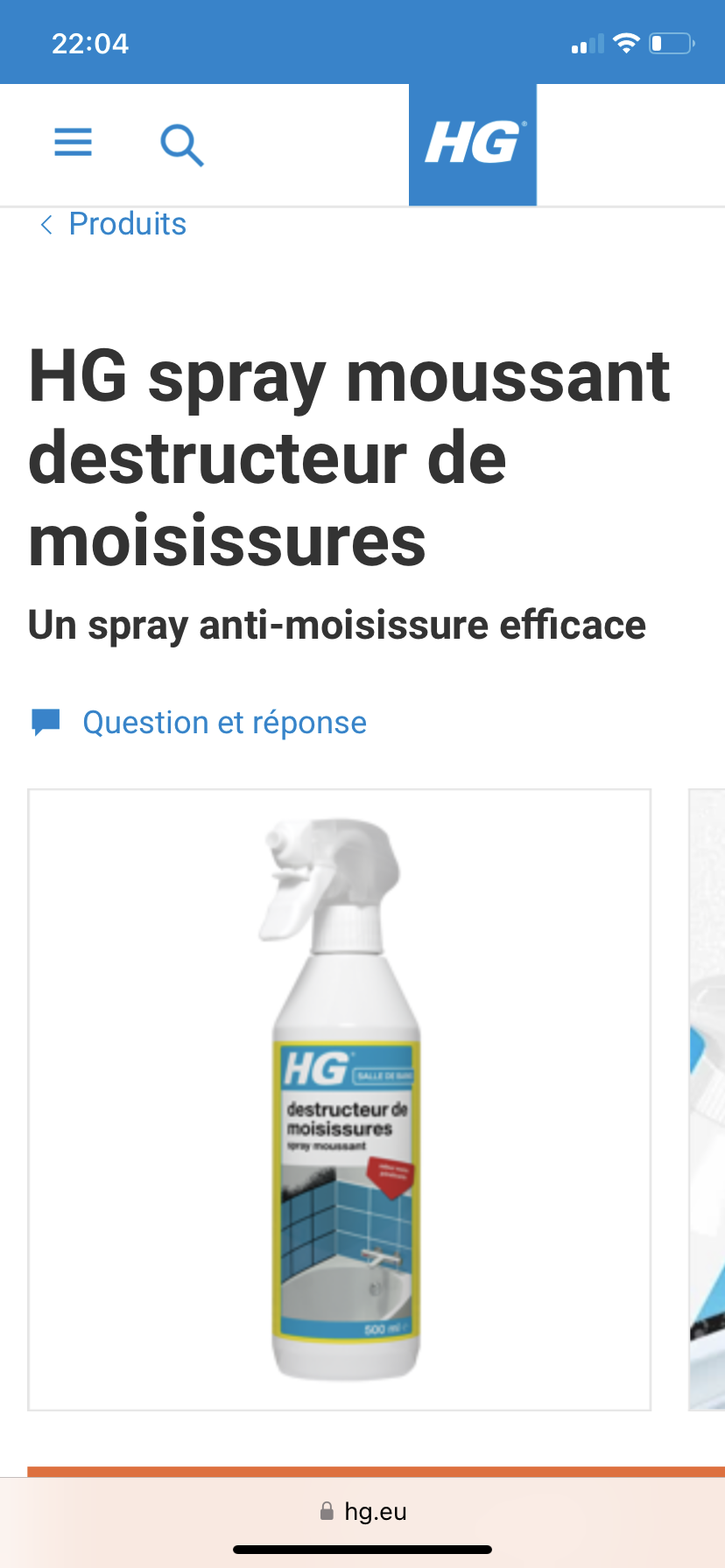 HG spray moussant destructeur de moisissures