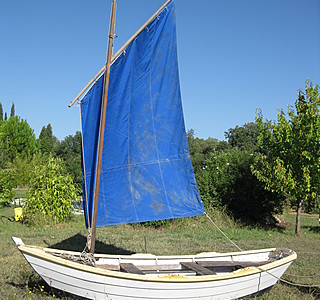 Doris 4M
