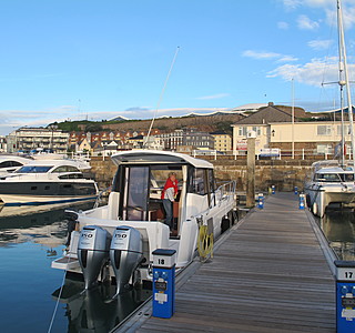 Merry Fisher 805
