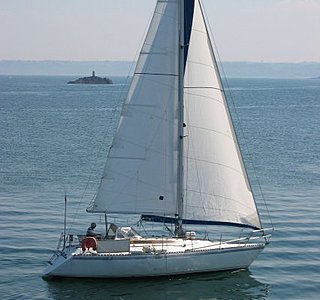 Conati 31