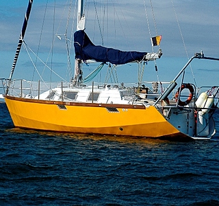 Iris 33