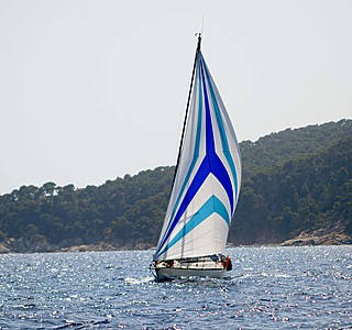 Conati 31