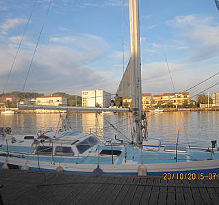 Tokay 10,30