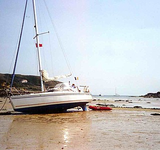 Kelt 29 DI