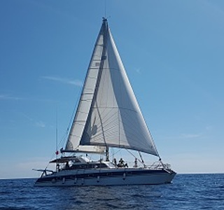 Quasar 50