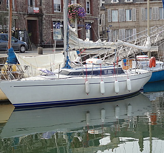 Mallard 9 M