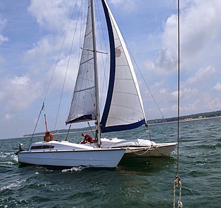 Edel Cat 26