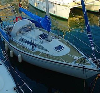 Dehler 31