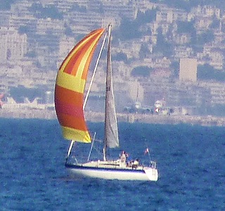 Trident 80