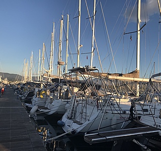 Bavaria 41