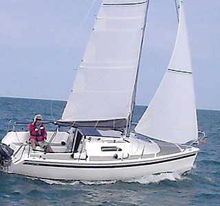 Sailart 20