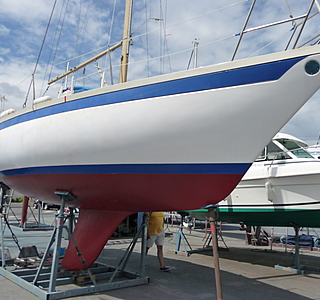 Aloa 29