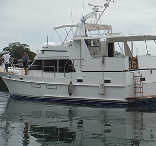 Island Gypsy 49