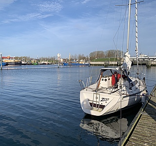 Sun Dream 28