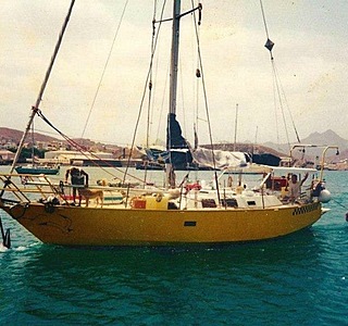 Albion 36