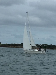 Westerly GK 24