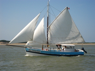 Cotre 970