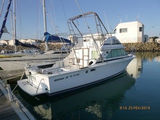 Bertram 28