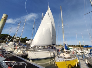 Bavaria Cruiser 32