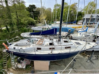 Trismus 37