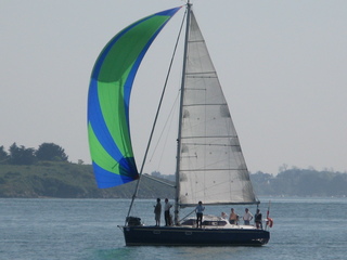 RM 1050 biquille