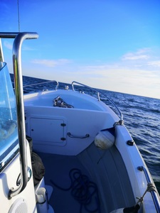 Pescador 600
